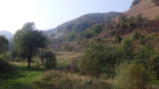 Die Herbstlandschaft von Copșa Mică nach Valea Viilor
